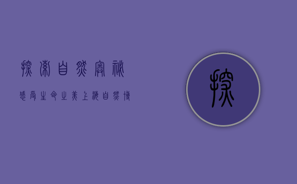 探索自然奥秘，感受生命之美—上海自然博物馆之旅