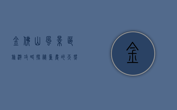 金佛山风景区旅游攻略，探秘重庆的天然氧吧与佛教圣地