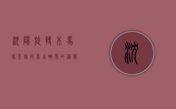 沈阳旋转木马摄影，捕捉梦幻瞬间的艺术