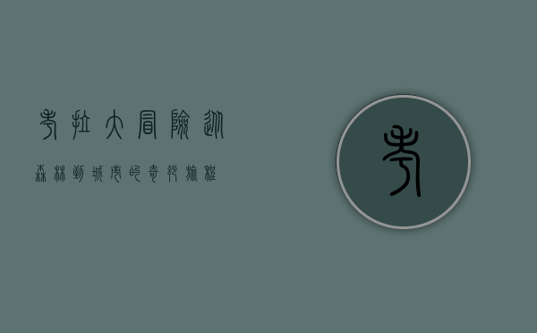 考拉大冒险，从森林到城市的奇妙旅程