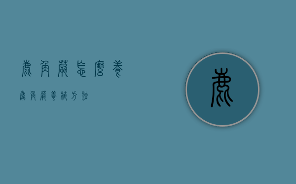 鹿角蕨怎么养（鹿角蕨养植方法）