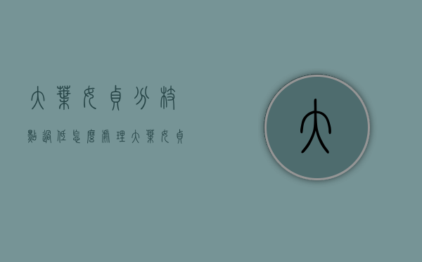 大叶女贞分枝点过低怎么处理（大叶女贞长势不旺）