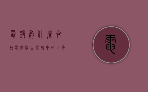 电鳗为什么会放电，揭秘自然界中的生物电现象
