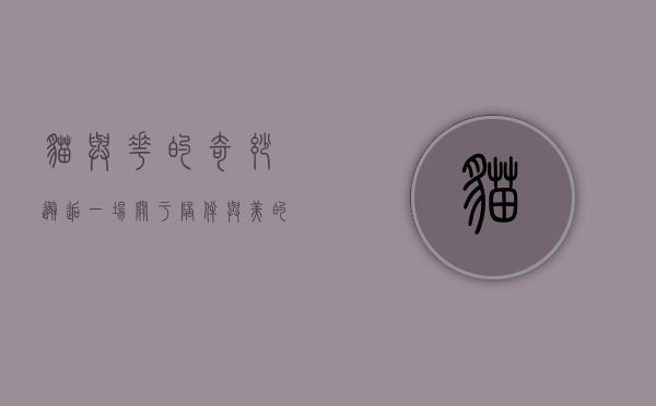 猫与花的奇妙邂逅，一场关于陪伴与美的无声对话