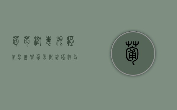 葡萄树患根癌病怎么办 葡萄树根癌病防治方法（葡萄根瘤蚜用什么药淋根）