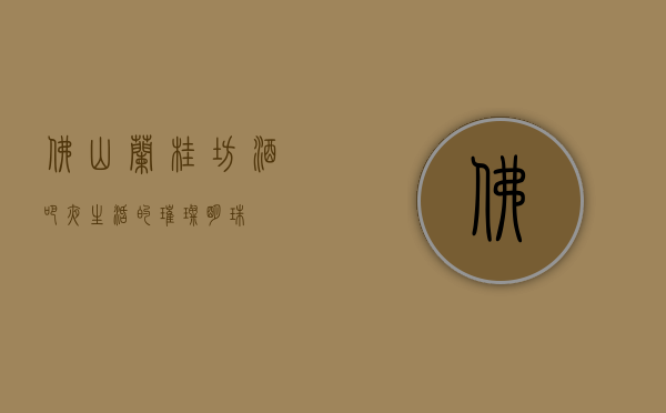佛山兰桂坊酒吧，夜生活的璀璨明珠