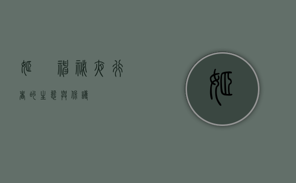 姬鸮，神秘夜行者的生态与保护