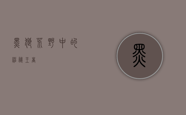 黑狼，荒野中的神秘王者