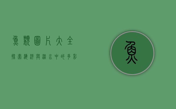 鱼类图片大全，探索海洋与淡水中的多彩世界
