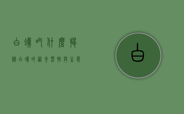 白蚁吃什么？揭秘白蚁的饮食习性与生态影响