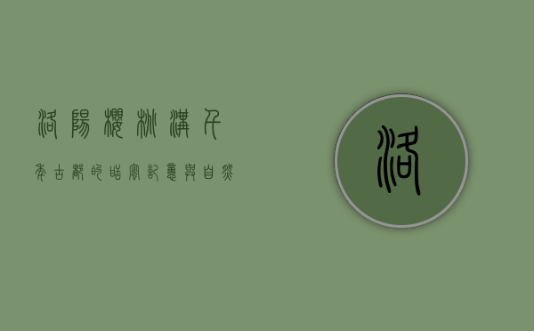 洛阳樱桃沟，千年古都的甜蜜记忆与自然馈赠