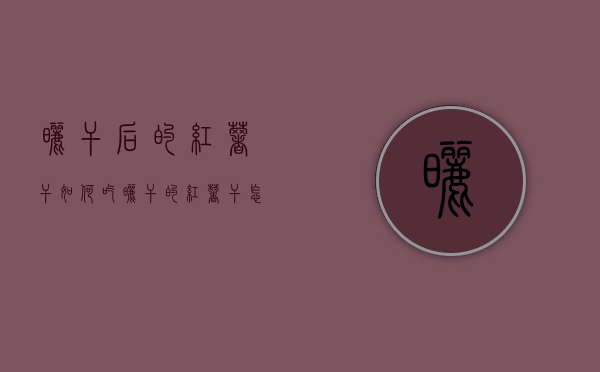 晒干后的红薯干如何吃（晒干的红薯干怎么做好吃法）