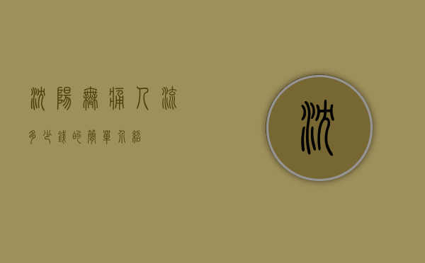 沈阳无痛人流多少钱的简单介绍