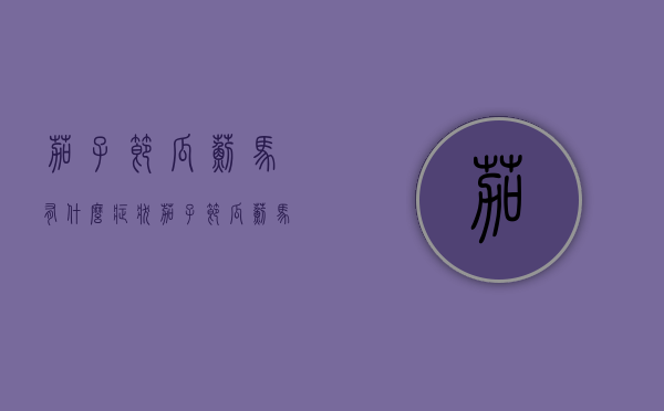茄子节瓜蓟马有什么症状？茄子节瓜蓟马防治方法（茄子有蓟马害打什么最好的药品杀虫）