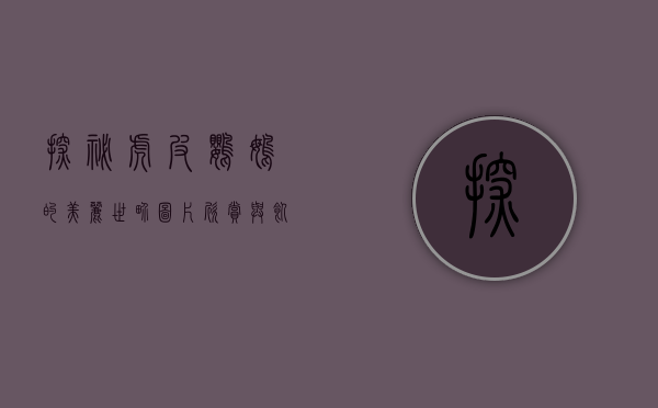 探秘虎皮鹦鹉的美丽世界，图片欣赏与饲养指南
