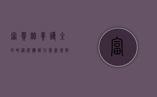 富贵竹养护全攻略，从选购到日常管理，教你养出健康繁茂的富贵竹