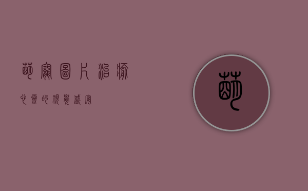 萌宠图片，治愈心灵的视觉盛宴