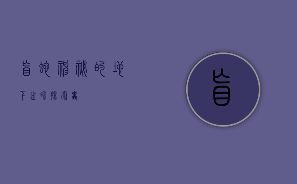 盲蛇，神秘的地下世界探索者