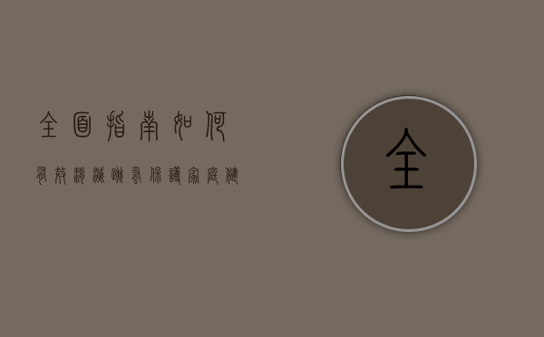 全面指南，如何有效消灭跳蚤，保护家庭健康