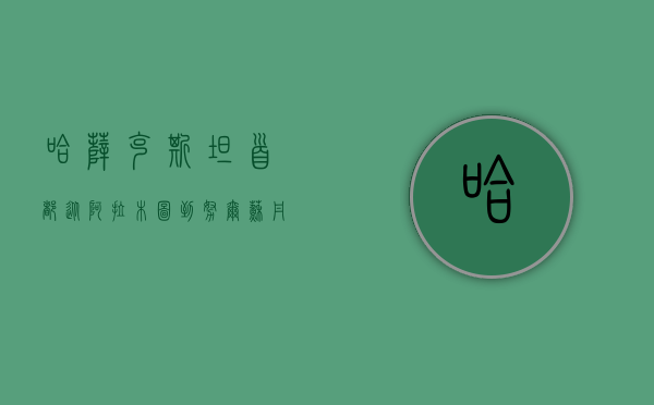 哈萨克斯坦首都，从阿拉木图到努尔苏丹的历史变迁与未来发展