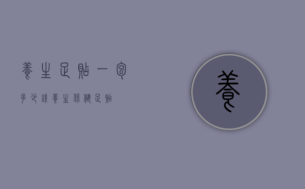 养生足贴一包多少钱（养生保健足贴）