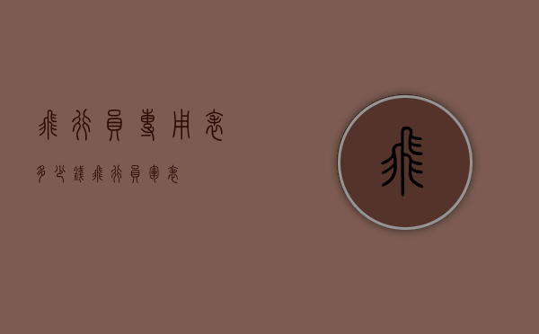 飞行员专用表多少钱（飞行员军表）