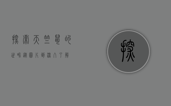 探索天竺鼠的世界，从图片到深入了解