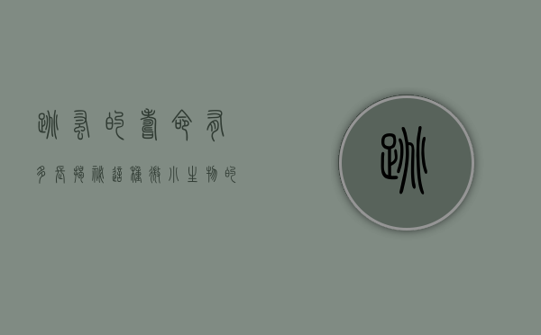 跳蚤的寿命有多长？揭秘这种微小生物的生命周期与生存策略