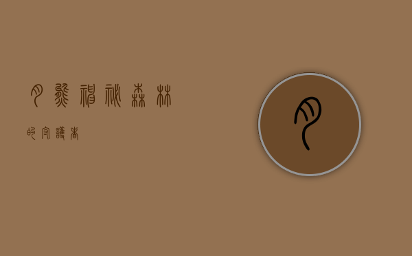 月熊，神秘森林的守护者