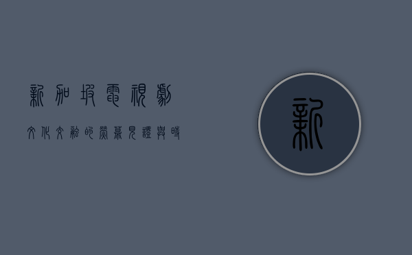 新加坡电视剧，文化交融的荧幕见证与时代变迁的艺术缩影