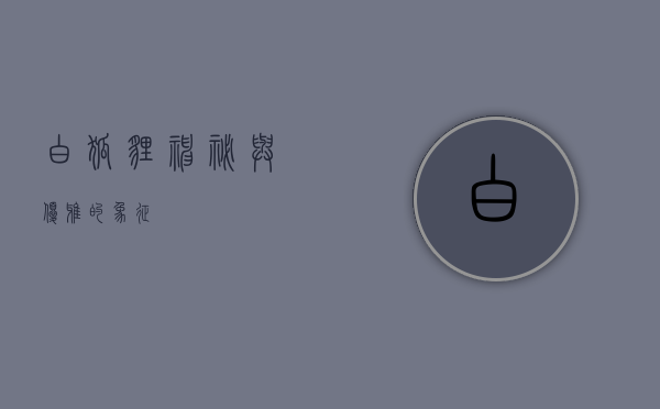 白狐狸，神秘与优雅的象征