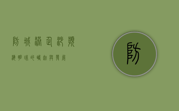防城港企沙，滨海明珠的崛起与发展