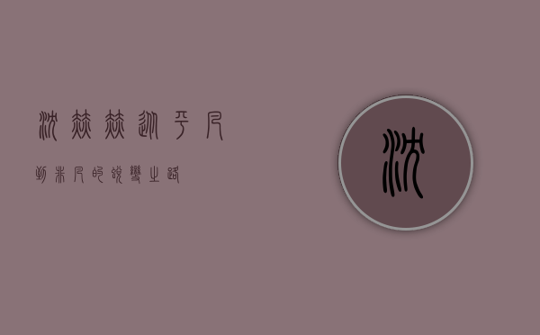 沈赫赫，从平凡到非凡的蜕变之路
