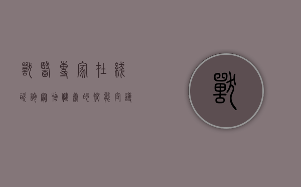 兽医专家在线咨询，宠物健康的智能守护者