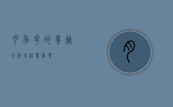 月季花的养殖方法和注意事项