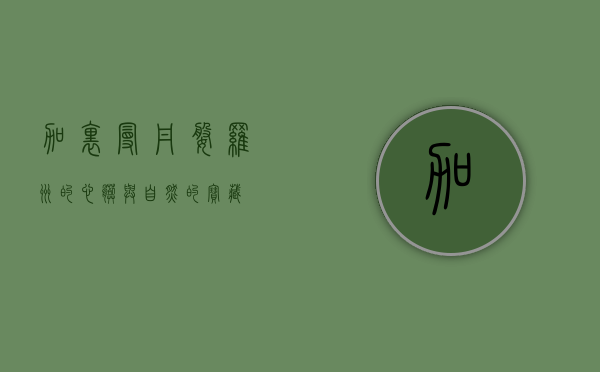 加里曼丹，婆罗洲的心脏与自然的宝藏