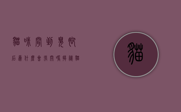 猫咪闻到臭脚后为什么会张开嘴?揭秘猫咪的裂唇嗅反应 猫咪闻到臭脚后为什么会张开嘴?揭秘猫咪的裂唇嗅反应