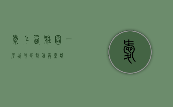 爱上西雅图，一座城市的魅力与灵魂