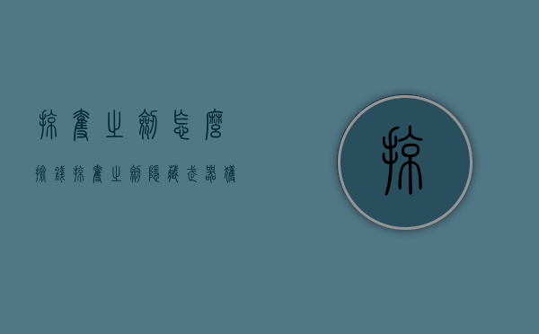 掠夺之剑怎么捡钱（掠夺之剑隐藏武器获取）