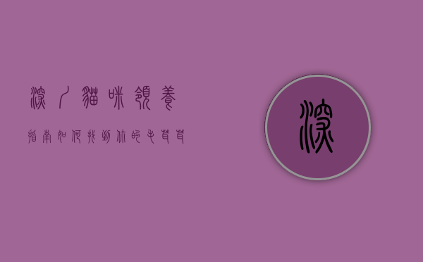 深圳猫咪领养指南，如何找到你的毛茸茸小伙伴