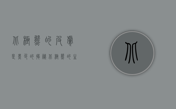 北极熊的皮肤是黑色的，揭秘北极熊的生存奥秘