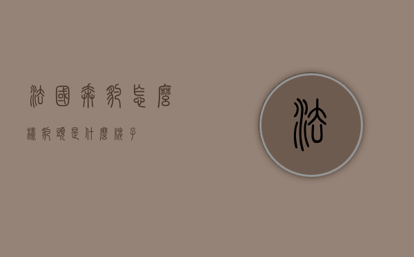 法国奔豹怎么样（豹头是什么牌子）