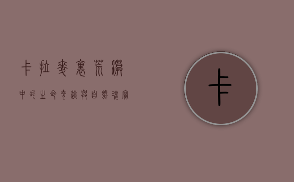 卡拉麦里，荒漠中的生命奇迹与自然瑰宝