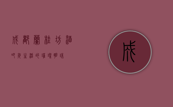 成都兰桂坊酒吧，夜生活的璀璨明珠