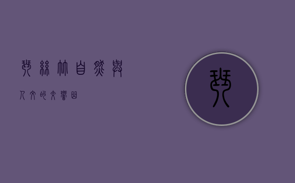 琴丝竹，自然与人文的交响曲