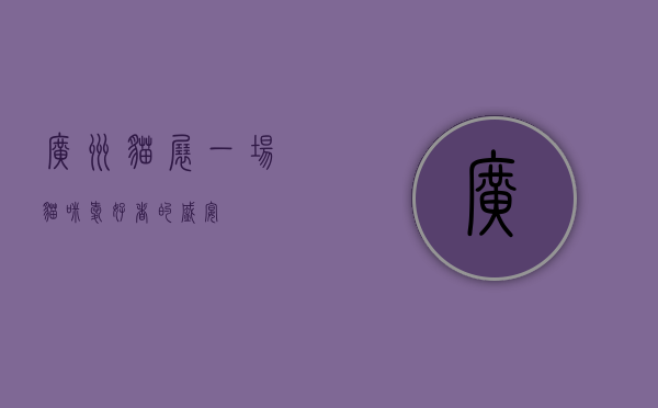 广州猫展，一场猫咪爱好者的盛宴