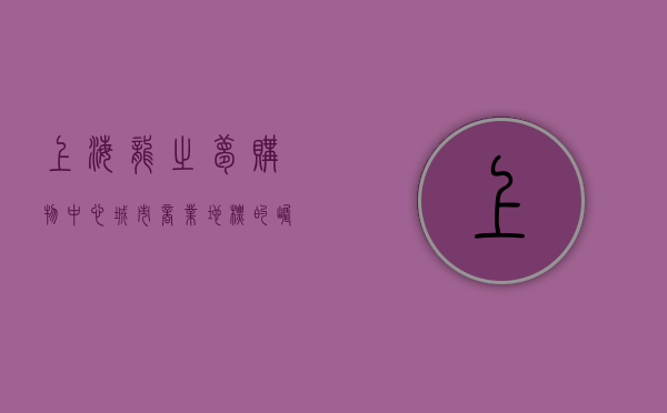 上海龙之梦购物中心，城市商业地标的崛起与未来展望
