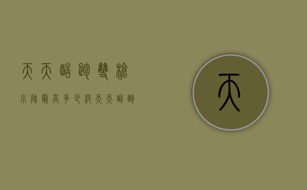 天天酷跑双枪小帅最高多少级（天天酷跑双枪小帅最高多少级）