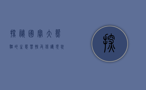 探秘国宝，大熊猫的生态、习性及保护现状