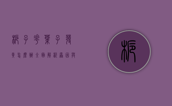 栀子花叶子发黄怎么办？全面解析原因与解决方法
